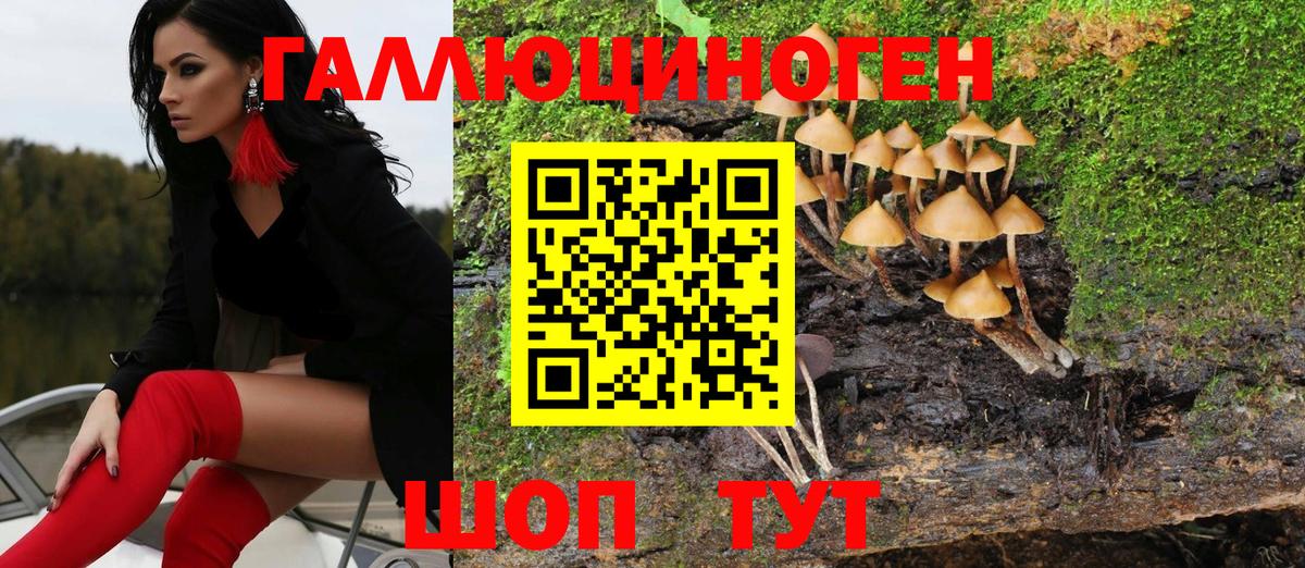 Псилоцибиновые грибы MAGIC MUSHROOMS  Вход с VPN  Саратов 