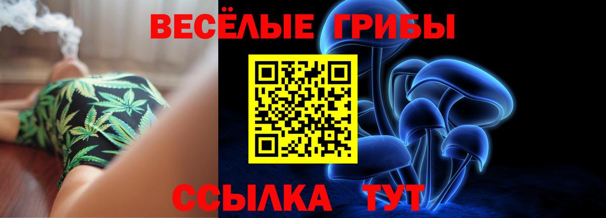 Псилоцибиновые грибы ЛСД Саратов